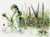 Die Wasserfrau